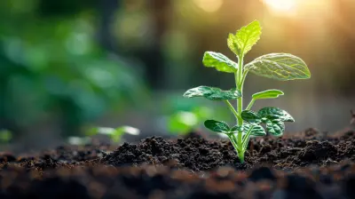 Micro-Savings: The Power of Small Efforts Over Time